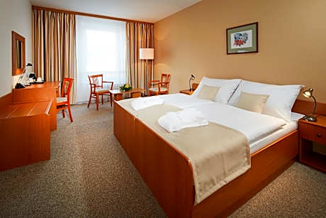 Superior Double or Twin Room with City View