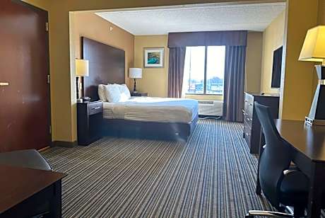 King Room - Non-Smoking