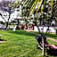 Residence Sa Pintadera