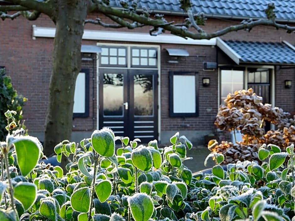 Bed and Breakfast Maas en Waal