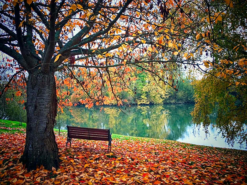 Le Moulin De Connelles