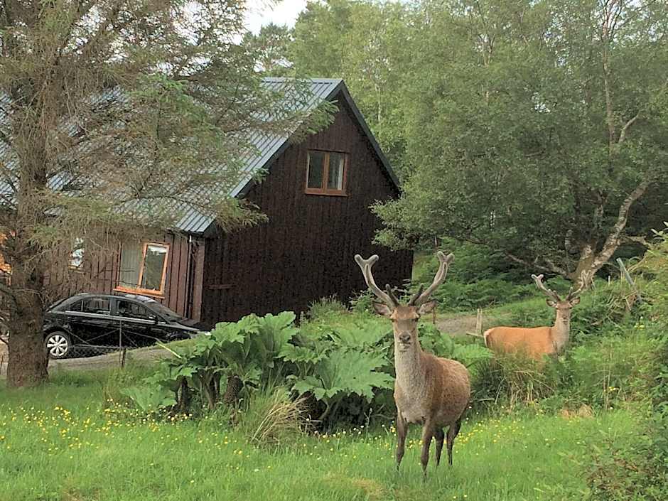 Bonnie Haven – Lochinver