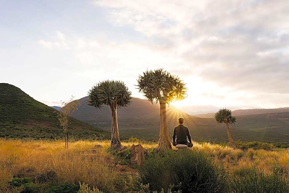 Simbavati Cederberg Ridge