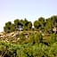 Le jardin du Castillon
