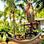Hotel Villa Mozart y Macondo