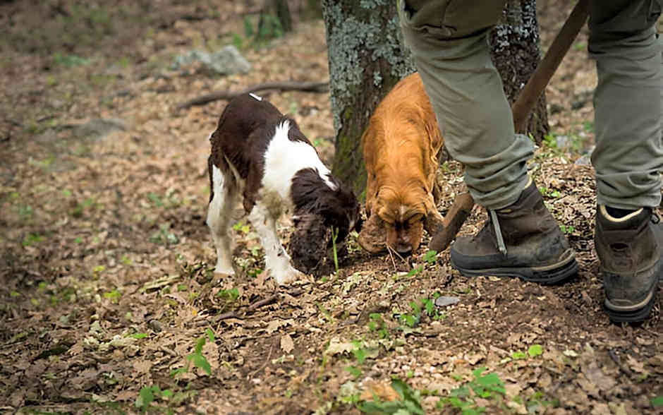 Palazzo Brandano Hotel
