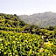 Terrabona Nature & Vineyards