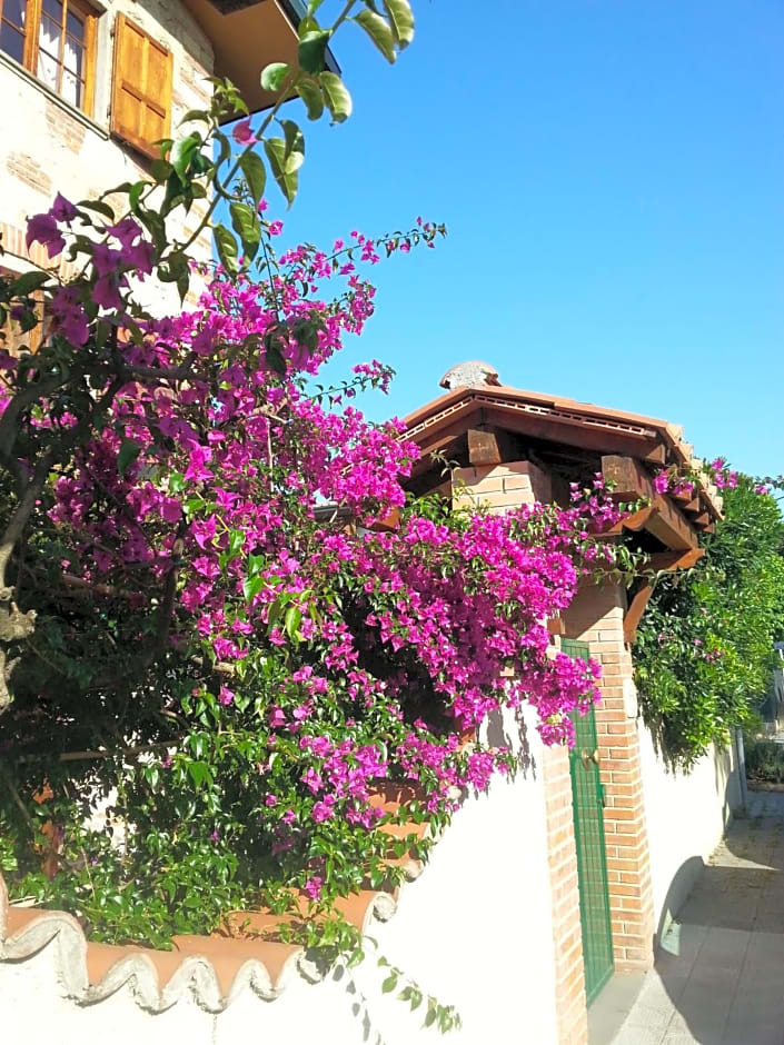 Villa Il Fortino