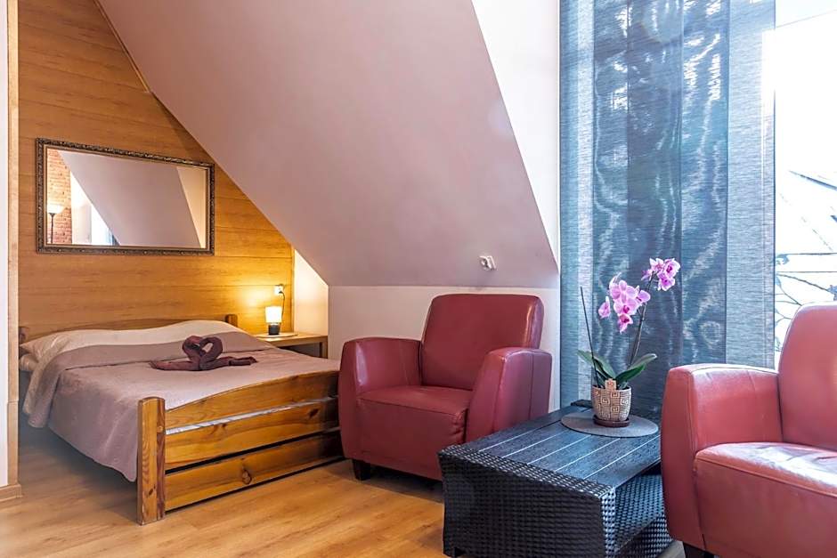 Brzoza w centrum Zakopanego