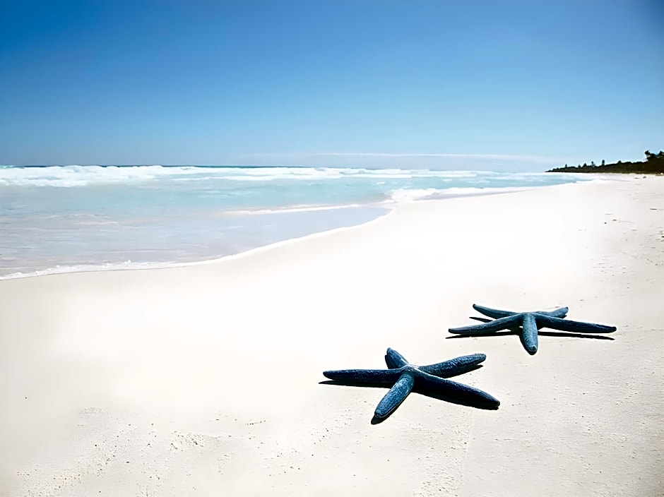 Villa Romero De Boracay Hotel