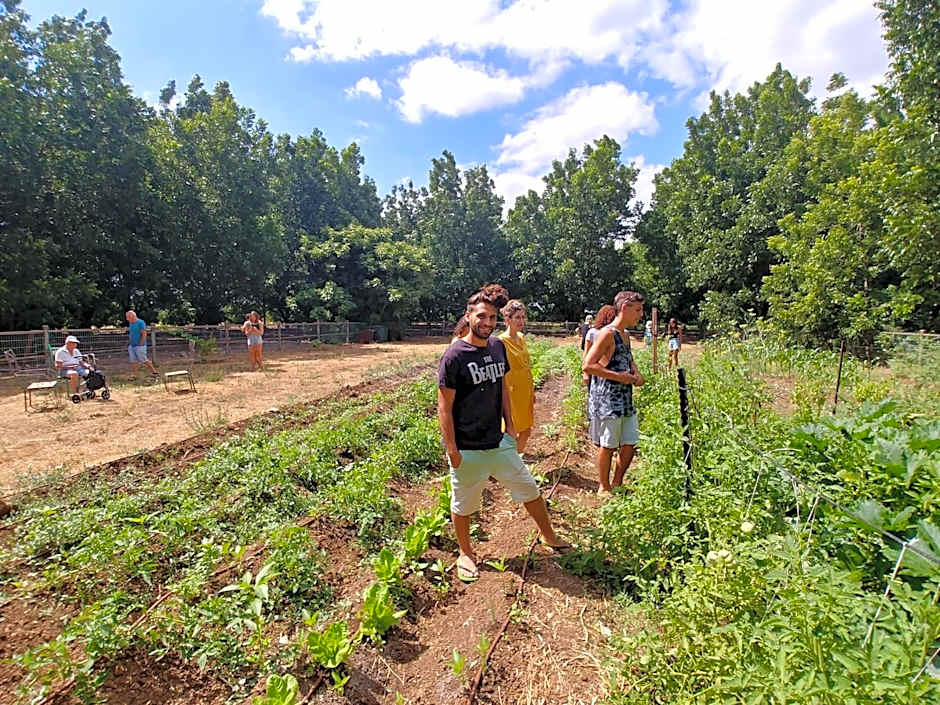 Vitrage Holiday Village and Spa