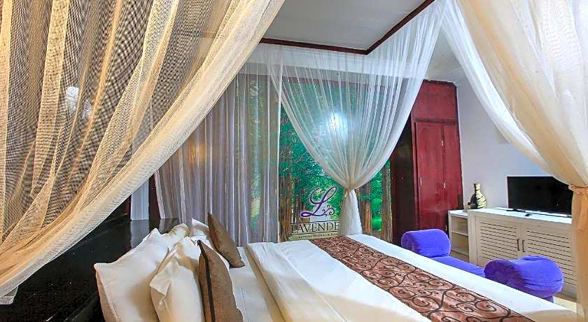 Lavender Villa and Spa