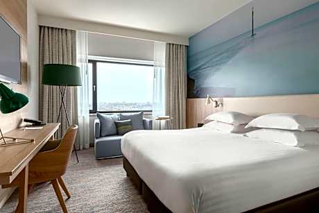 Deluxe Room, Guest room, 1 King