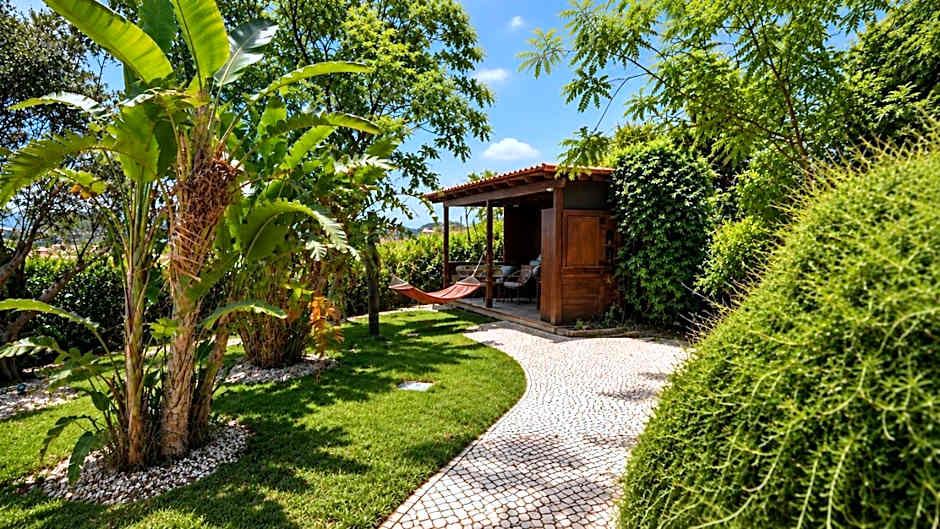 Gato Preto de Silves - Adults Only
