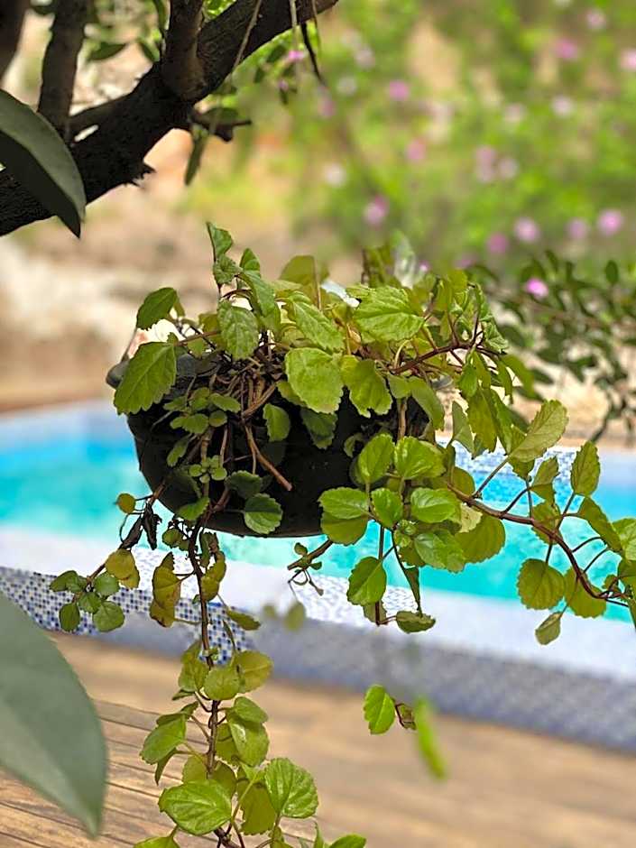 Hotel Boutique Hacienda Guadalupe