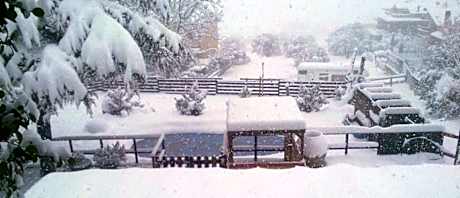 Triple Room with Pool View
