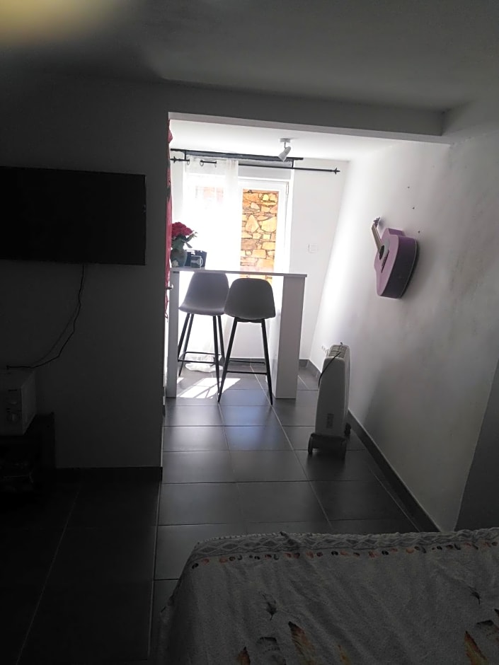 Le camélia de la mazarié