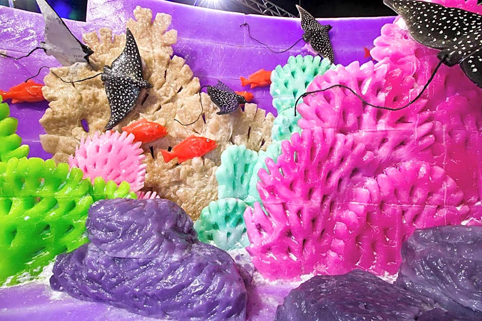 Moody Gardens Hotel Spa And Convention Center