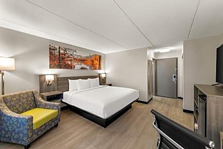 King Room - Pet Friendly/Non-Smoking