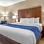 Comfort Inn Near Greenfield Village