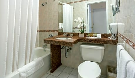 Deluxe Room, 1 Queen Bed