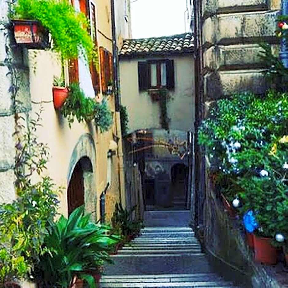 Hotel Elvira Fiuggi