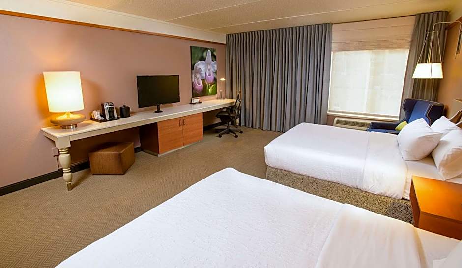 Hilton Garden Inn Rochester Downtown