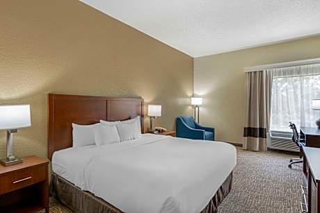 1 King Bed, Nonsmoking, Accessible