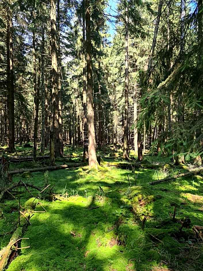Zajazd Karłów Restauracja & Pokoje Gościnne