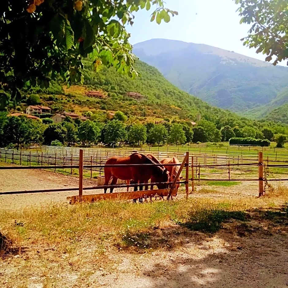 Bed&breakfast La Badia