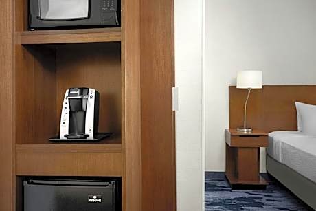 King Studio with Sofa Bed and Roll-in Shower - Mobility and Hearing Accessible