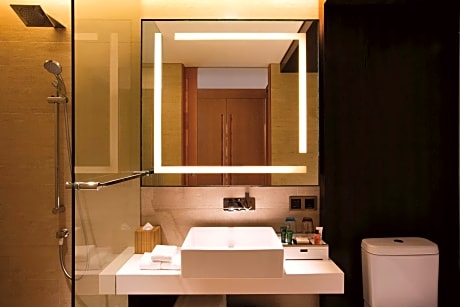 King Accessible Room