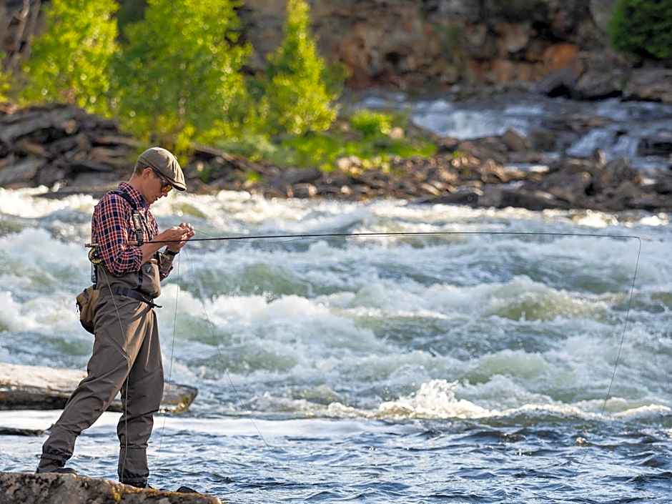 Millestgården Eco lodge