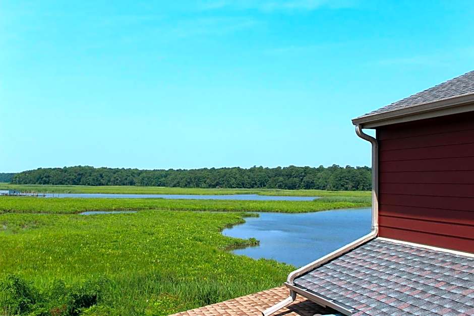 Surry Seafood Company