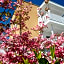 Hotel Jardis