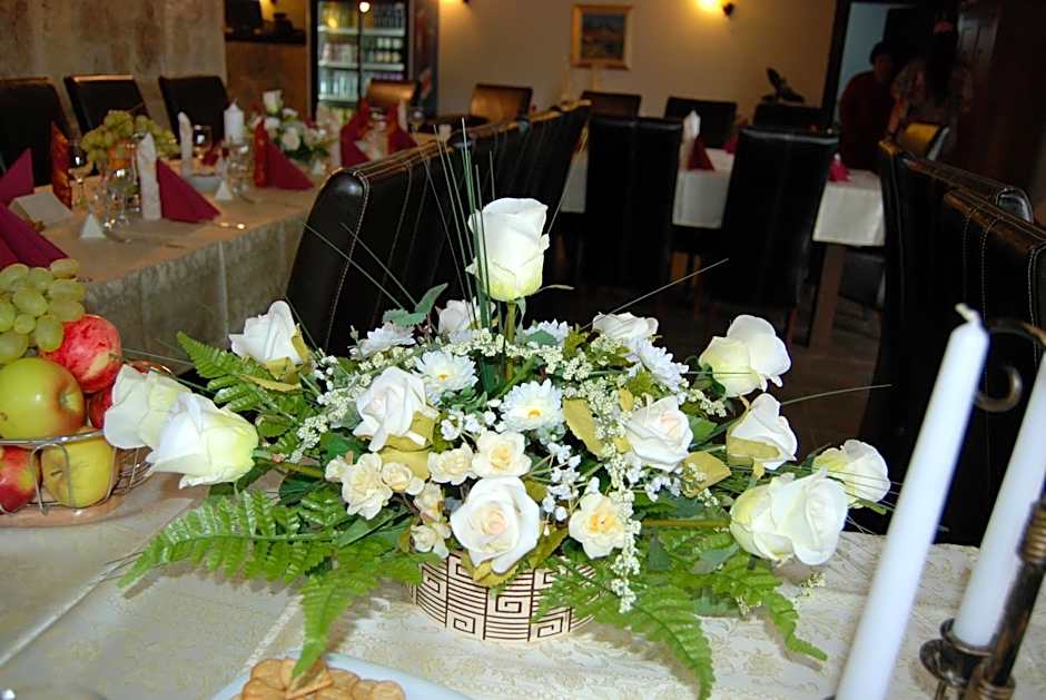 Vila Carpathia