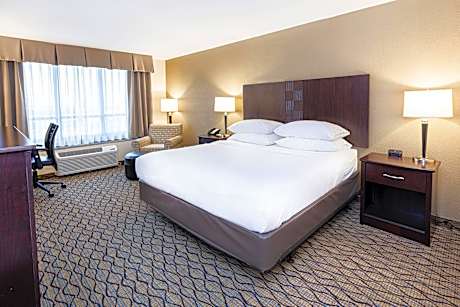 Premium King Room