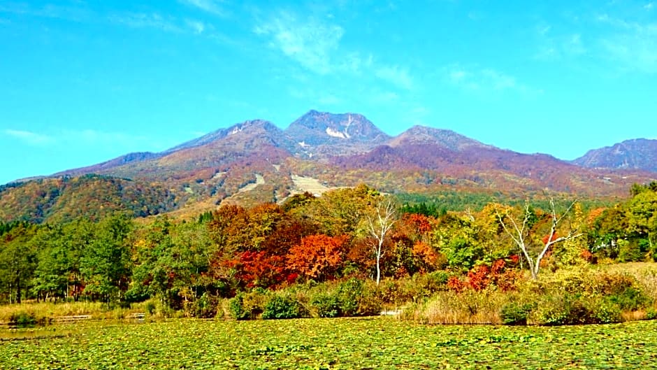 Log Pension Tomsoya