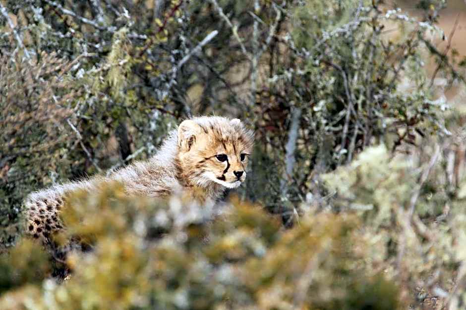 Kwandwe Private Game Reserve - Fort House