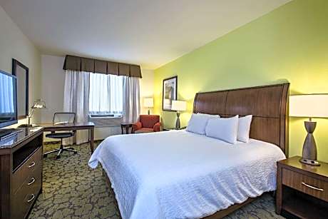1 King Bed