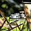 Unterwirt - Restaurant & Gasthof Ebbs