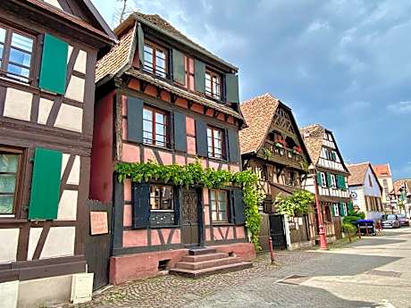 Gîte de caractère au calme , proche quartier historique, Au Merlenchanteur