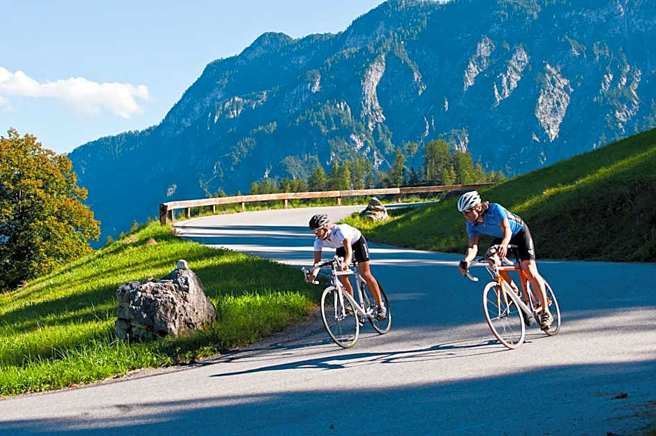 Patrix Hotel, Restaurant, Bar