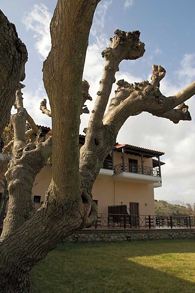 Dellas Boutique Hotel