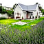 Tranquil House B&B @ 1 College Ave