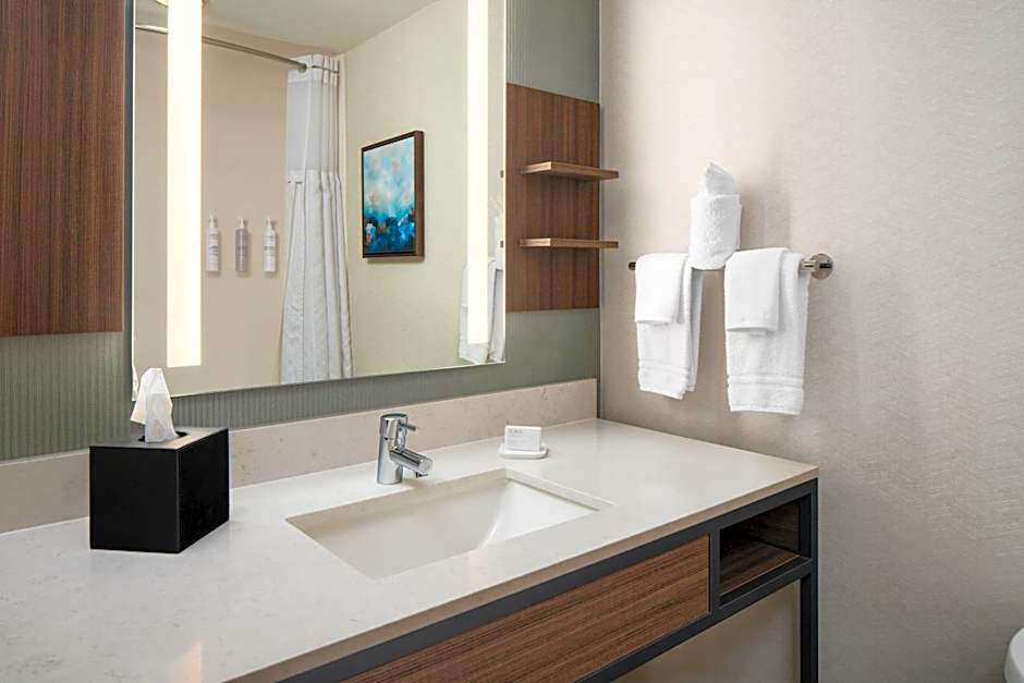 Hilton Garden Inn Virginia Beach Town Center