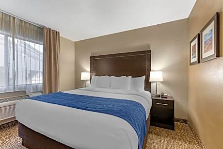 Standard King Room with Roll-in Shower - Accessible/Non-Smoking