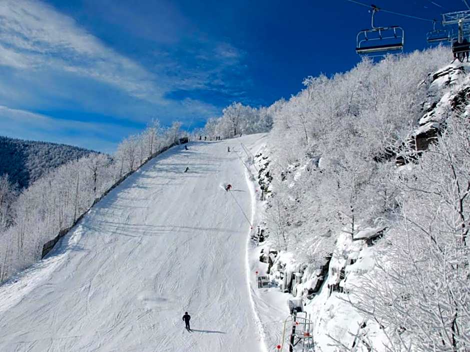 The Haüs Windham - Luxury Suites, Hot Tub, Mountain Views!