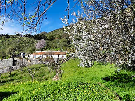 Bed in 8-Bed Mixed Dormitory Room
