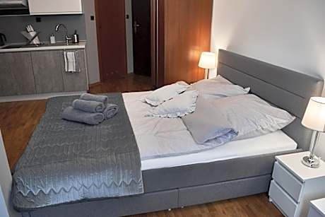 King Studio with Sofa Bed